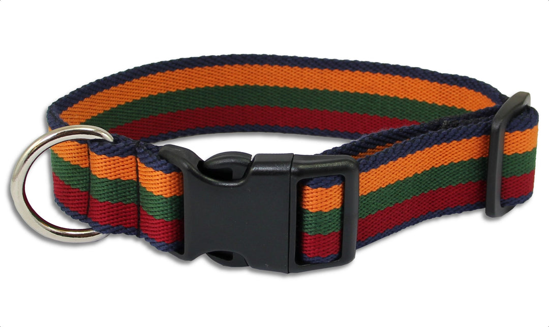 Duke dog collar best sale