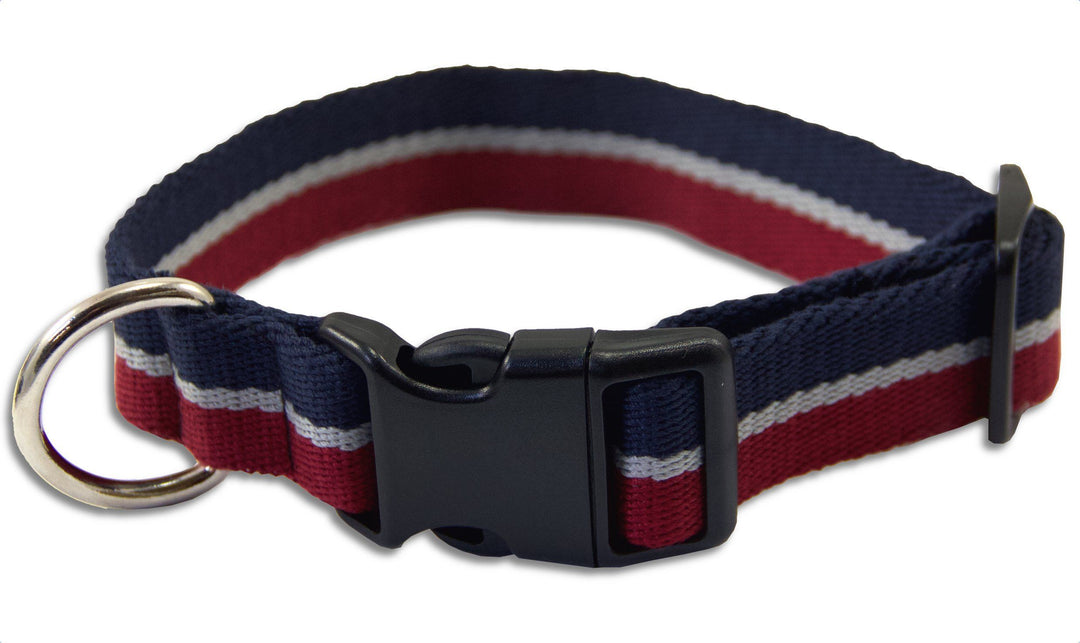 Royal Air Force RAF Wide Dog Collar